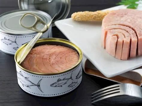 konserve ton balığı ve yoğurt
